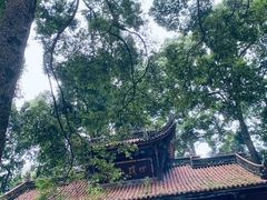 -都江堰普照寺