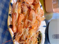 -魚當家