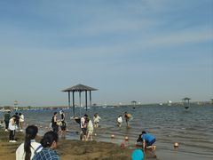 -碧海金沙