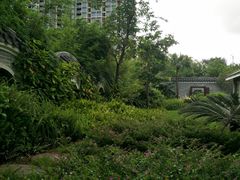 -大亚湾红树林城市湿地公园