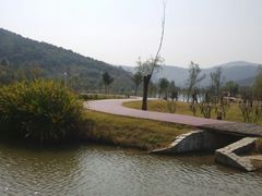 android_upload_pic-石塘人家