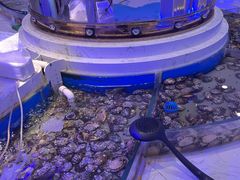-澜悦港海鲜体验主题餐厅