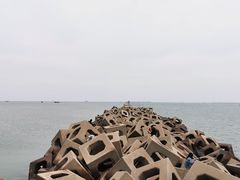 -东疆建设开发纪念公园