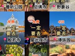 -西双版纳傣族园