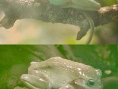 -上海大自然野生昆虫馆(东方明珠·爬宠昆虫探索中心)