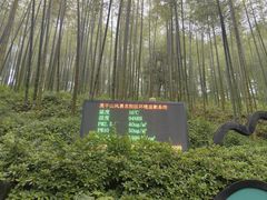 -莫干山风景区