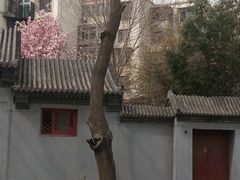 -玲珑塔公园