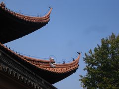 -苏州文庙(姑苏区)