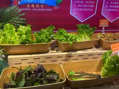-欢乐牧场主题自助料理(龙华星河iCO店)