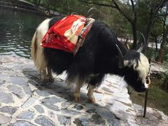 -丽江玉水寨