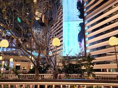 -桂满陇·海市蜃楼·黑金(国金店)