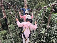 -西双版纳原始森林公园