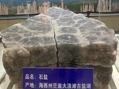 -青藏高原自然博物馆