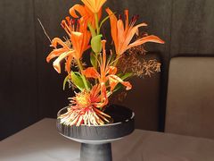 -月芽·自由餐厅·西溪湿地餐厅