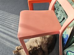 -佑安动物医院·全科·内窥镜中心(幸福巷店)