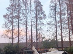 -枫泾古镇-人民公社旧址