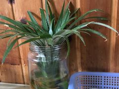 -嵊州特色小吃(萧山街店)