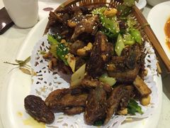 -南波万
