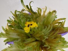 -浙里本味·宴四季江南(三台山路店)