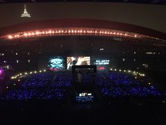 -南京奥林匹克体育中心-体育馆