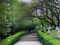 -南山植物园