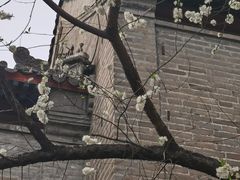 -雍和宫(地铁站)
