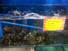 -蚝专家(北滘店)
