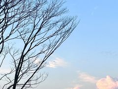 -南沙蒲洲花园