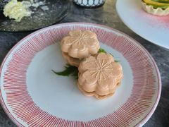 -Hi City·城市之巅