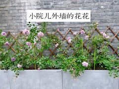 -四喜小胖·北京涮肉(五道营店)