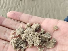 -侨港海滩