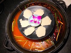 井水豆花-渝涯重庆豆花老火锅(中赢国际店)