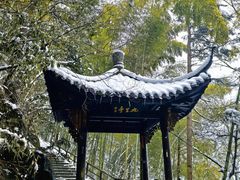 -东天目山风景区