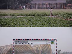 -中国天府农业博览园