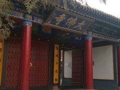 -张掖大佛寺景区