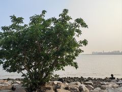 -深圳湾公园(南山区)