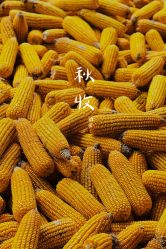 -优沃得自然教育农场·冰雪乐园·生日会·研学