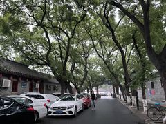 -北京国子监胡同