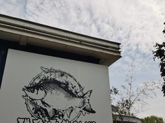 -酷鱼垂钓CLUB(朝阳区博大路店 )