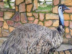 -J Create城市露营咖啡·简餐·宠物(上海动物园店)