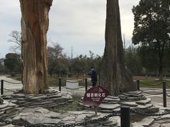 -金钉子远古世界景区