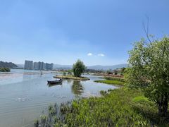 -洱海月湿地公园