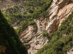 -少华山国家森林公园