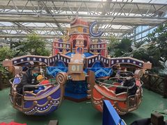 -南宫五洲植物乐园