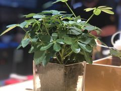 -熊吞·大碗丼烧肉饭(济宁万达广场店)