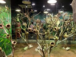 -Zoolung Zoolung动物主题公园(海信广场店)