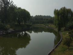 -大兴滨河森林公园