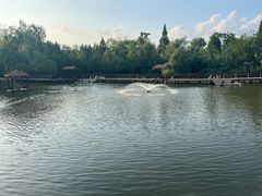 -溱湖国家湿地公园