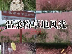 -汉长安城未央宫国家考古遗址公园