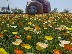 -歌斐颂巧克力小镇